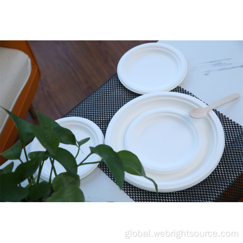 Biodegradable Paper Tray Biodegrada Round Paper Plate for Party Supplier